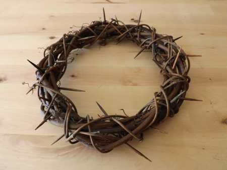 \"easter-crown-of-thorns\"